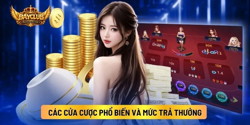 Các Cửa Cược Phổ Biến Và Mức Trả Thưởng